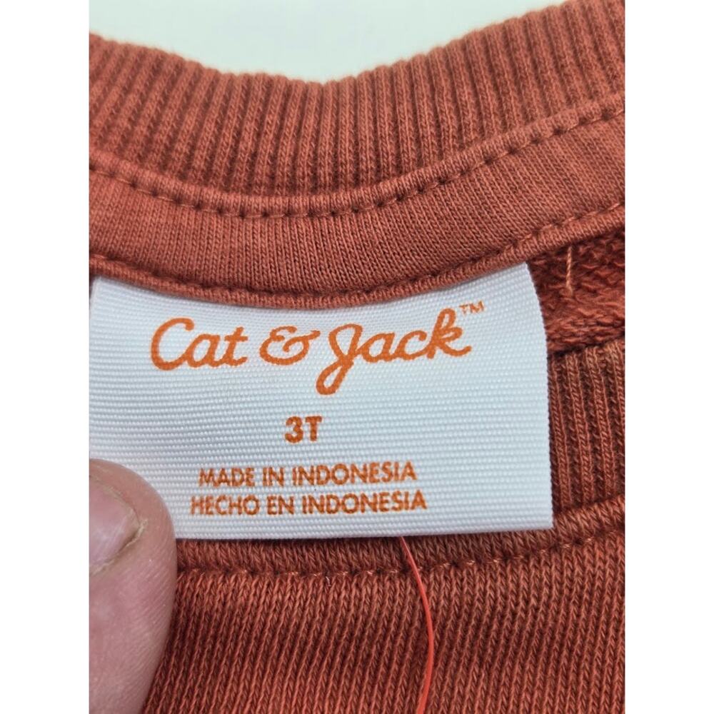 NWT Cat And Jack Boys Crew Neck Sweatshirt Rust orang 3T